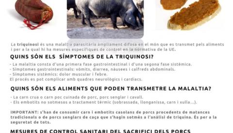 Matances