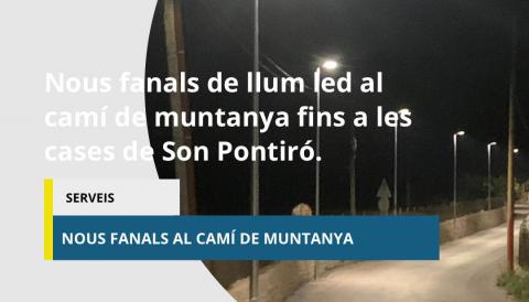 fanals